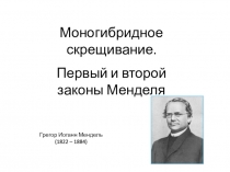 Моногибридное скрещивание.
Первый и второй законы Менделя
Грегор Иоганн