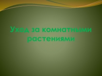 Уход за комнатными растениями