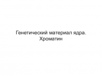 Генетический материал ядра. Хроматин