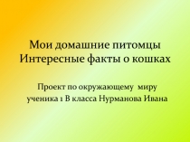 Мои домашние питомцы Интересные факты о кошках