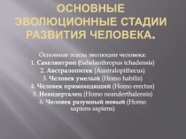 Основные эволюционные стадии развития человека