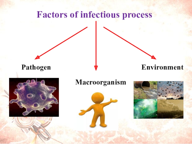 Disease process