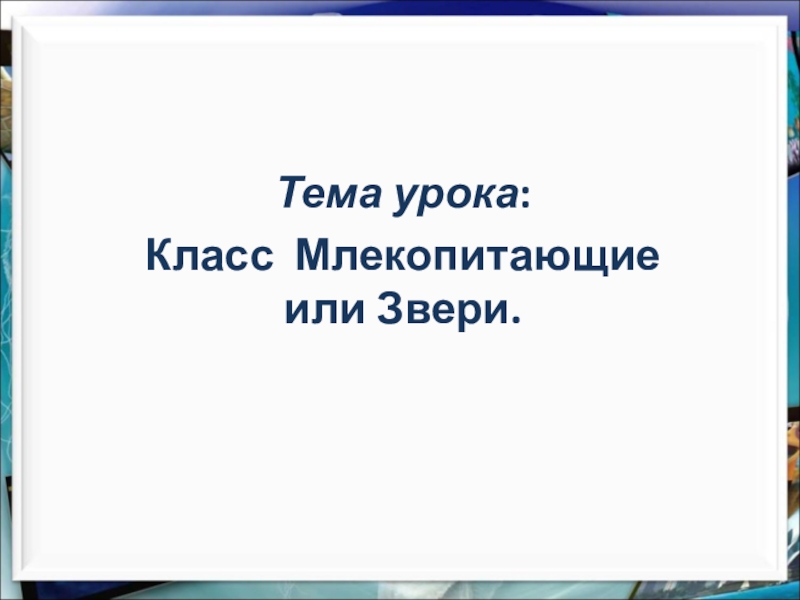 Презентация Тема урока :
Класс Млекопитающие или Звери