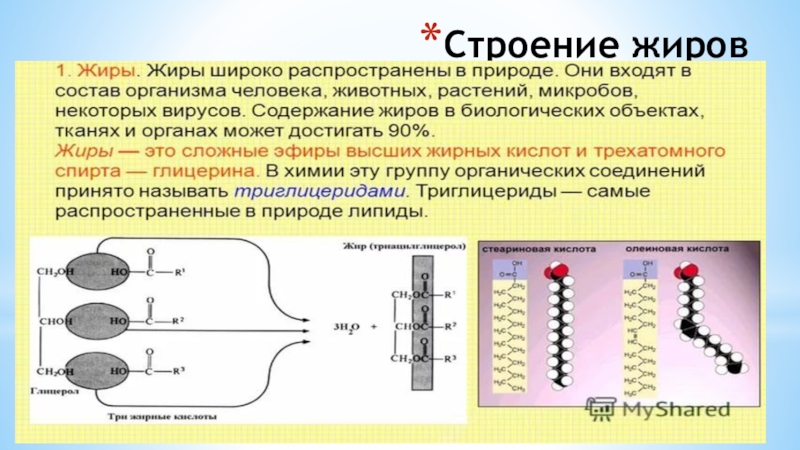 Строение жиров. Строение жиров биология 9 класс. Строение жиров организме. Жиры их строение. Схема строения жиров.