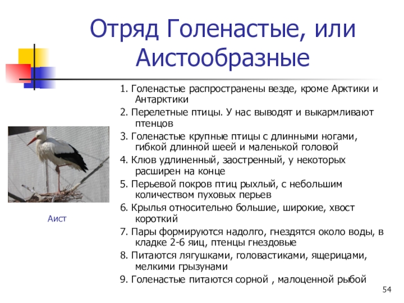 Используя рисунок 164 найдите черты отличия выводковых и гнездовых птиц 7 класс биология кратко