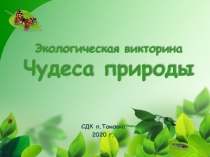 Экологическая викторина Чудеса природы