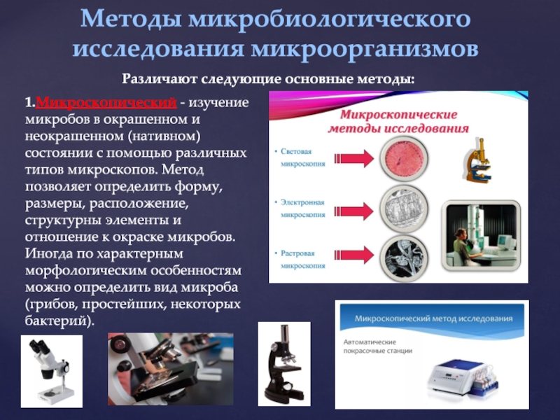 Микроскопический метод исследования в микробиологии презентация