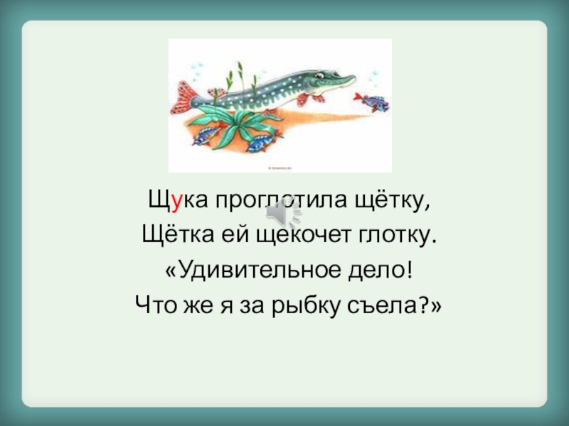 Рыба из скороговорки. Щука проглотила щетку. Скороговорка про щуку. Щука проглотила щетку щетка ей щекочет. Стихотворение про щуку.