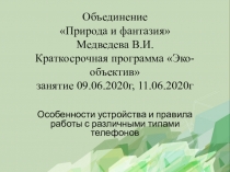 Объединение Природа и фантазия Медведева В.И. Краткосрочная программа