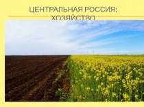 Центральная Россия: хозяйство