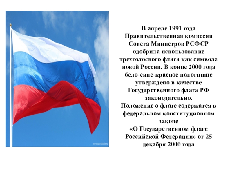 Когда в москве подняли трехцветный флаг. Флаг России в 1991 году. Экология России трехцветный флаг. Размер флага России в 1991 году. 1991 Год огромный трехцветный флаг.