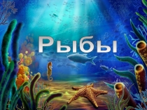 Рыбы