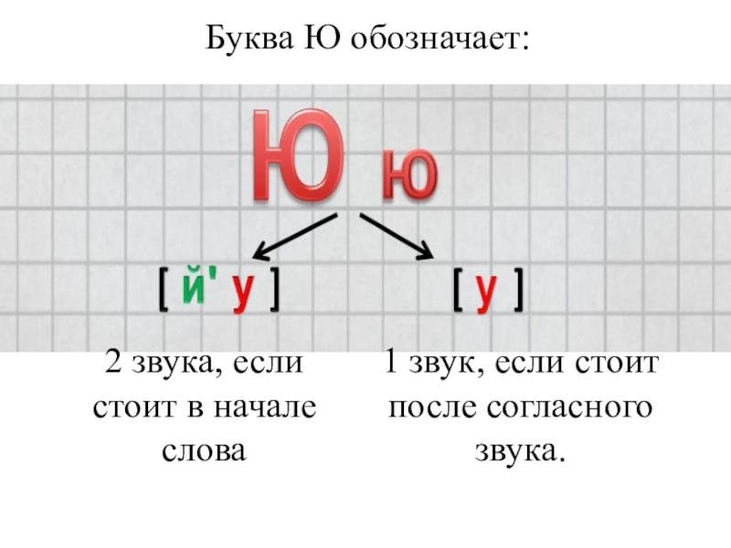 Схема звука ю