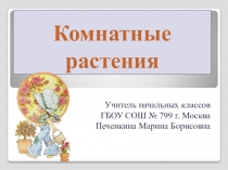 Комнатные растения