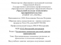 Министерство образования и молодежной политики Свердловской области