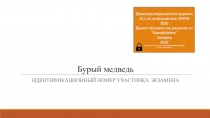 Бурый медведь
