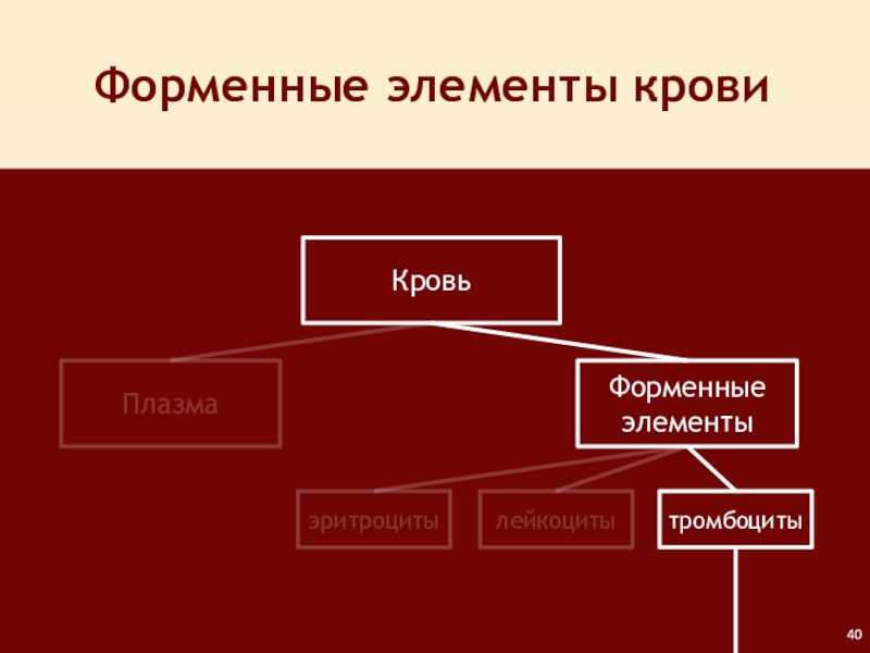 Форменные элементы