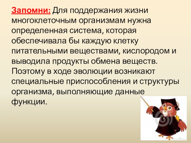 Поддержания жизни. Дифференциация и специализация клеток в многоклеточном организме.