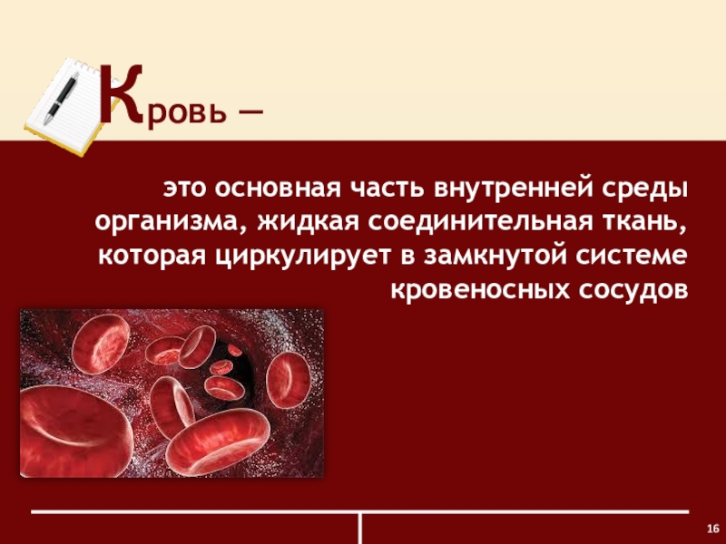 Жидкая соединительная. Кровь, как важнейшая часть внутренней среды организма. Кровеносные сосуды в соединительной ткани. Ткани внутренней среды кровь.