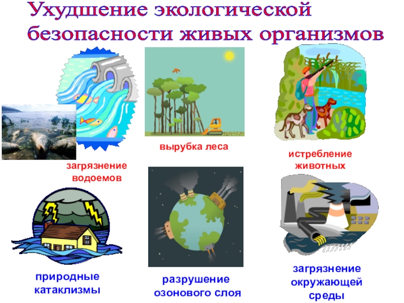 Экологическая безопасность человека проект