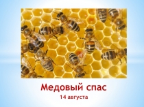 Медовый спас
14 августа