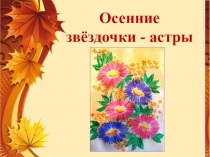 Осенние звёздочки - астры