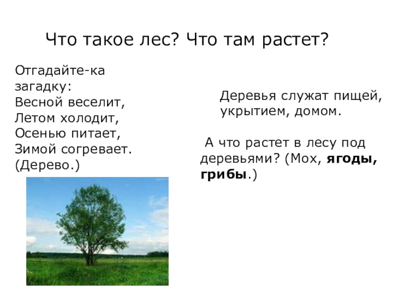 Веселит летом холодит осень. Загадка весной веселит летом холодит осенью питает зимой согревает. Весной веселит летом холодит осенью питает зимой согревает. Весной веселит летом холодит осенью питает зимой согревает ответ. Весной веселит,летом холодит, загадка веселит.