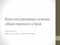 Конституционные основы общественного строя