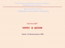 Занятие ДОТ Череп в целом