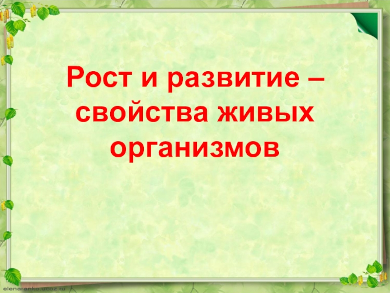 Рост и развитие свойства живых организмов презентация 6 класс пасечник