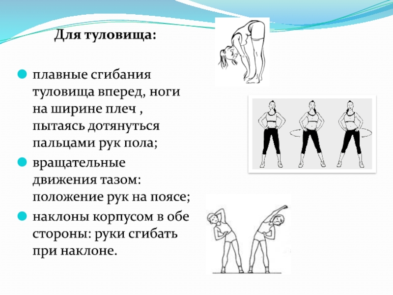 Максимальное сгибание туловища вперед. Заполните таблицу движение туловища сгибание туловища.