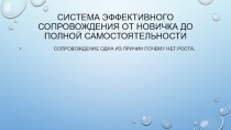 Система ЭФФЕКТИВНОГО СОПРОВОЖДЕНИЯ ОТ НОВИЧКА ДО ПОЛНОЙ САМОСТОЯТЕЛЬНОСТИ