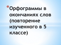 Орфограммы в окончаниях слов (повторение изученного в 5 классе)