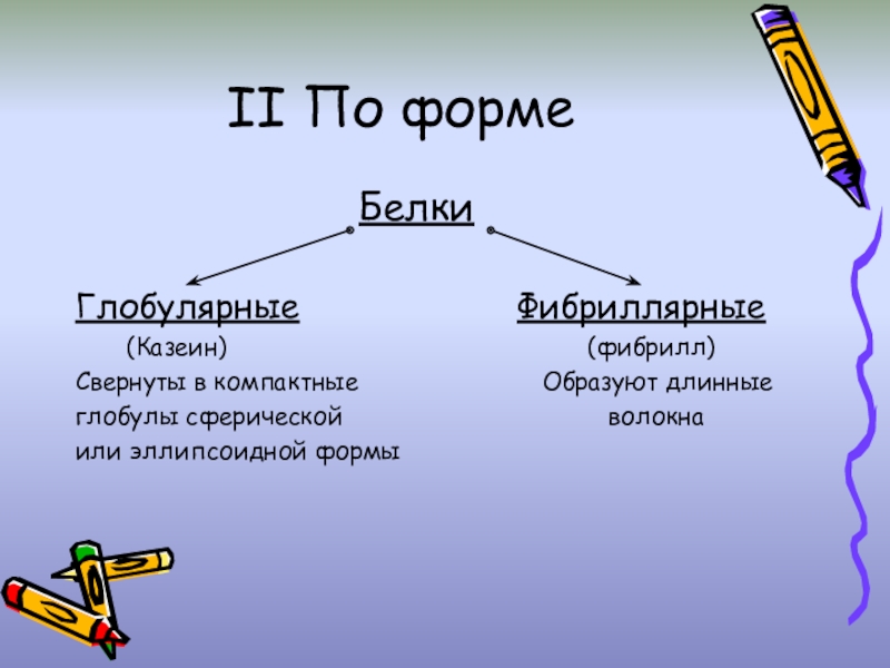 Формы белков. Белки по форме. Формы белка.