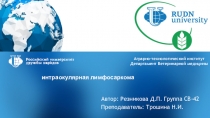 Автор: Резникова Д. П. Группа СВ-42
Преподаватель: Трошина Н