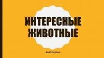 интересные животные