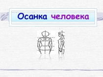 Осанка человека