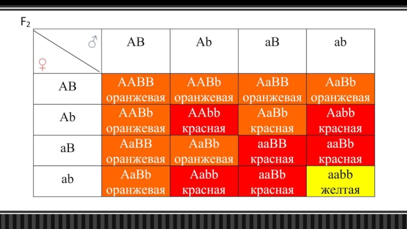 Схема aabb x aabb