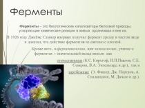 Ферменты