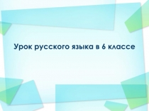 Урок русского языка в 6 классе