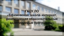 ГКОУ ЛО
Ефимовская школа-интернат,
реализующая образовательные
адаптируемые