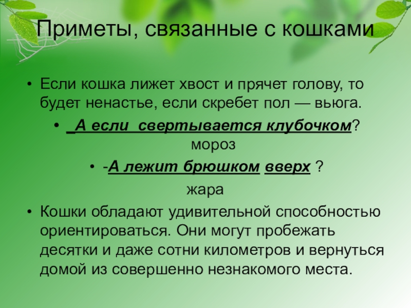 Зачем учителю. Почему я выбрала профессию учителя. Почему я выбрала профессию педагога. Почему вы выбрали профессию учителя. Почему выбрала профессию воспитателя.