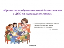 Организация образовательной деятельности
в ДОО на современном