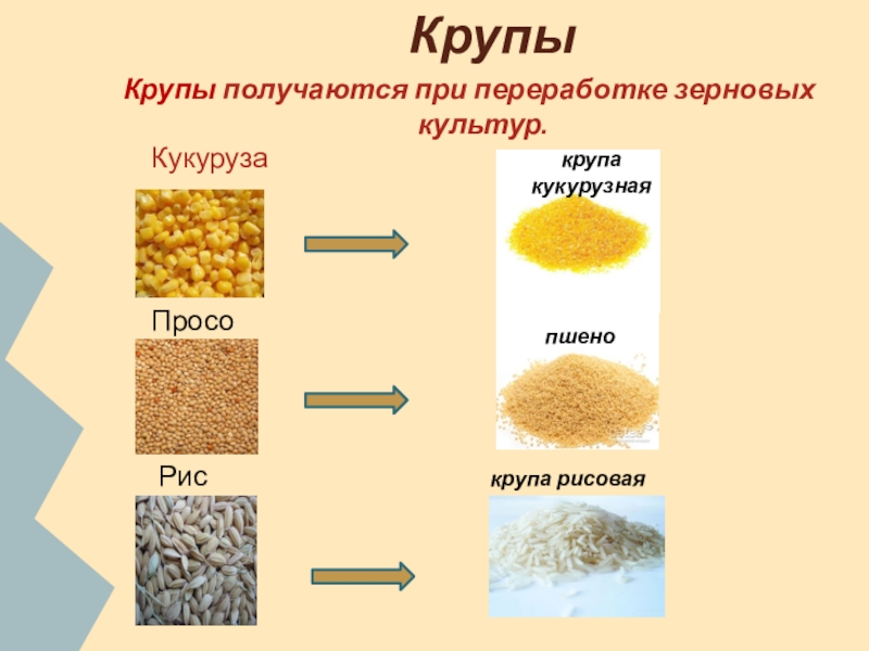 Молотые зерна из которых варят кашу