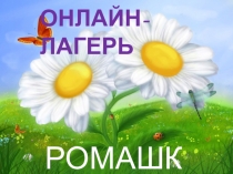 ОНЛАЙН-ЛАГЕРЬ
РОМАШКА