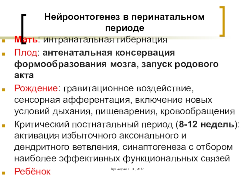 Антенатальный период перинатальный период. Этапы нейроонтогенеза. Антенатальный и интранатальный периоды. Периоды антенатальный перинатальный интранатальный. Фазы перинатального нейроонтогенеза.