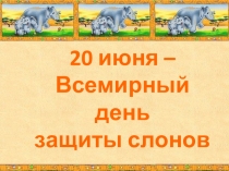 20 июня –
Всемирный день
защиты слонов
в зоопарках