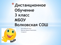 Дистанционное Обучение 3 класс МБОУ Волковская СОШ