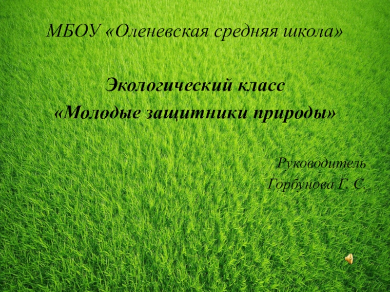 Презентация МБОУ Оленевская средняя школа
Экологический класс
Молодые защитники природы