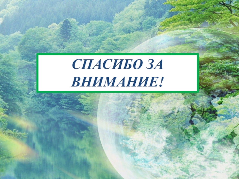 Спасибо за внимание для презентации с природой